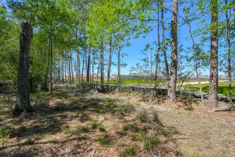 24897 Rainbow Lane New Caney TX 77357