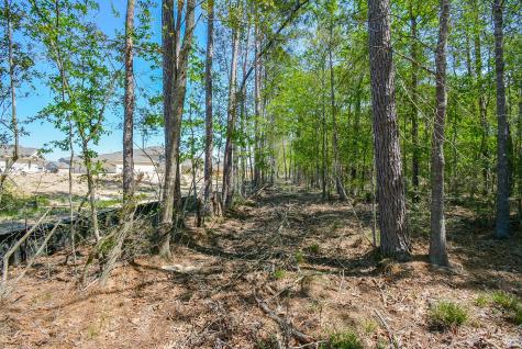 24897 Rainbow Lane New Caney TX 77357