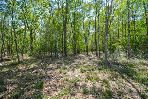 24897 Rainbow Lane New Caney TX 77357