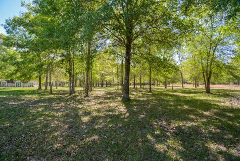 24897 Rainbow Lane New Caney TX 77357