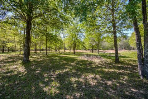 24897 Rainbow Lane New Caney TX 77357