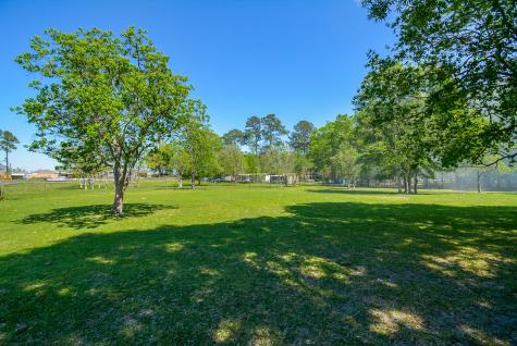 24897 Rainbow Lane New Caney TX 77357