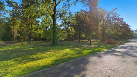 Tbd #24 Deep Woods Lane Livingston TX 77351