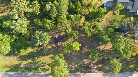 Tbd #24 Deep Woods Lane Livingston TX 77351