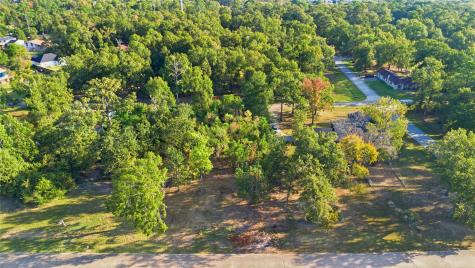 Tbd #24 Deep Woods Lane Livingston TX 77351