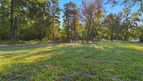 Tbd #24 Deep Woods Lane Livingston TX 77351