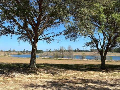 Lot 46 Lakeland Drive Hillister TX 77624