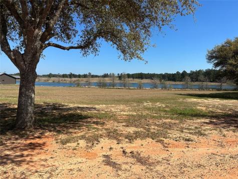 Lot 46 Lakeland Drive Hillister TX 77624