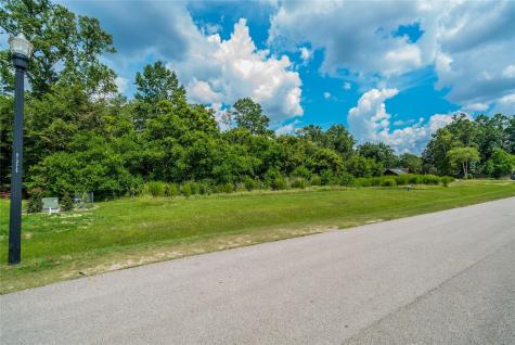 28410 Calaveras Creek Court Houston TX 77336
