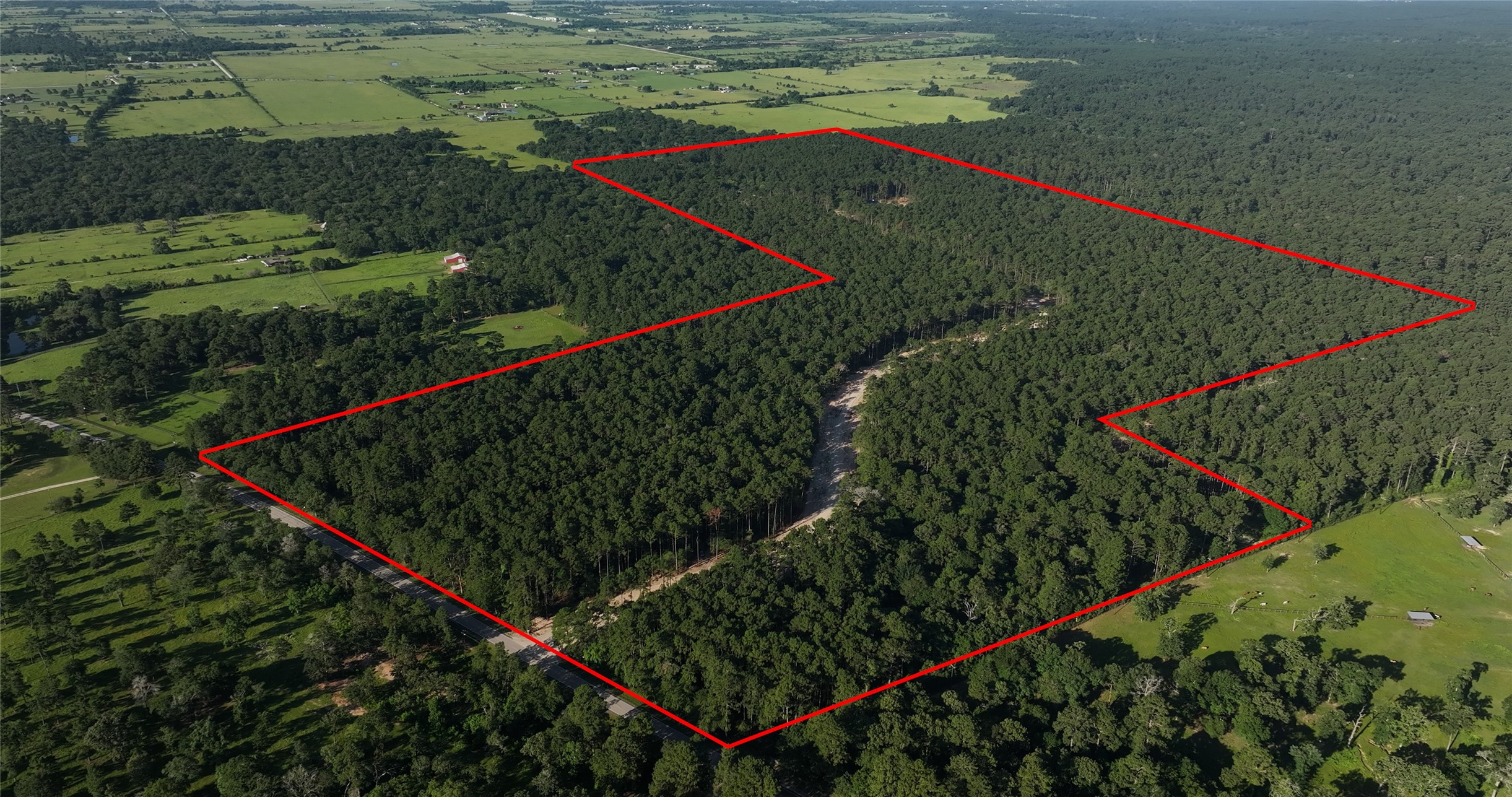 Tbd 14 Ac Fm 362 Road Waller TX 77484