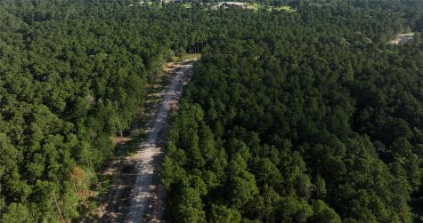 Tbd 14 Ac Fm 362 Road Waller TX 77484