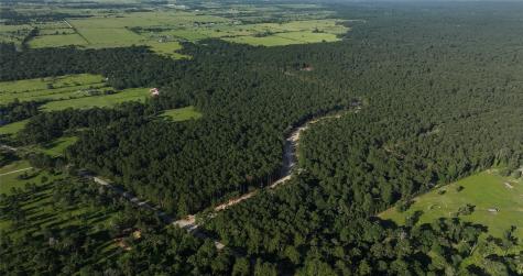 Tbd 14 Ac Fm 362 Road Waller TX 77484