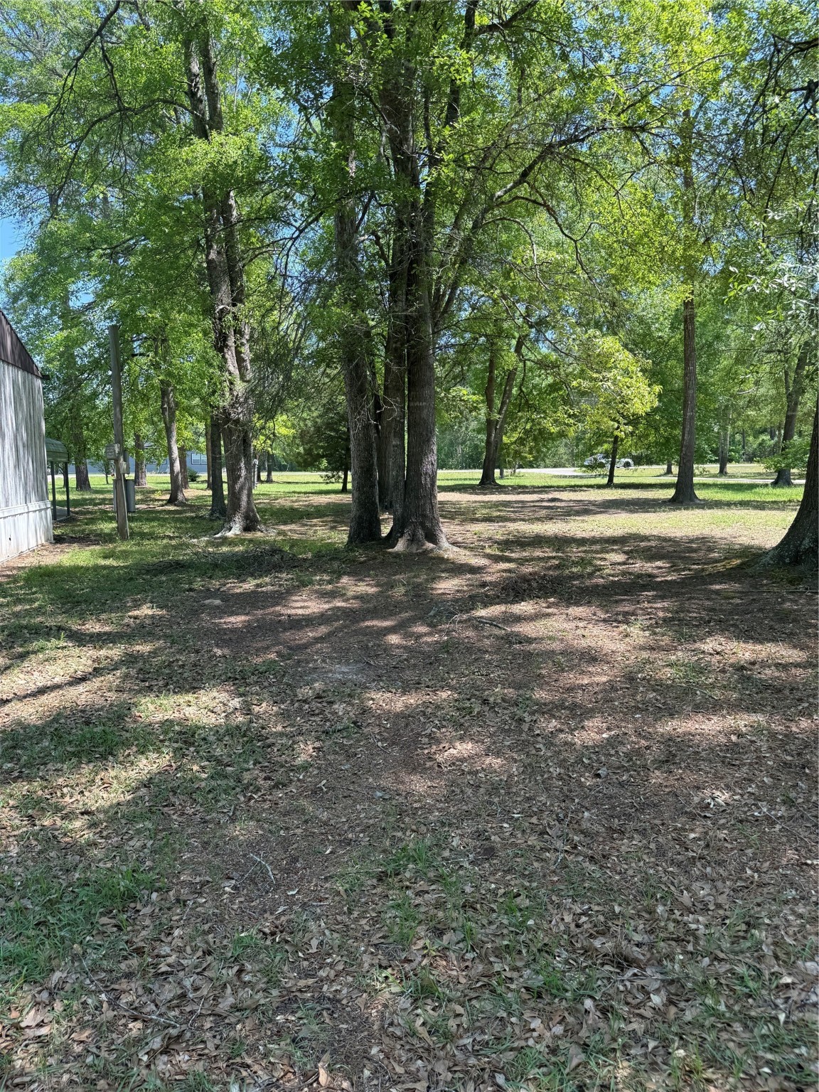 11480 Amber Park Drive Conroe TX 77303