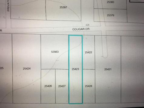 456 Cougar Drive Buna TX 77612