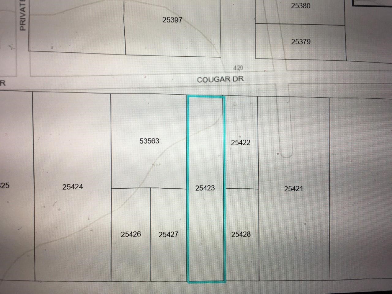 456 Cougar Drive Buna TX 77612