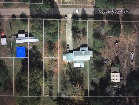 456 Cougar Drive Buna TX 77612