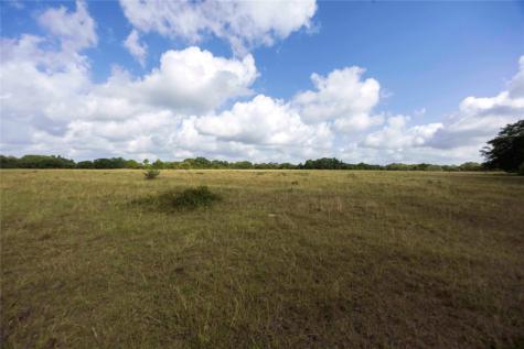 Tbd Stryk Road Flatonia TX 78941