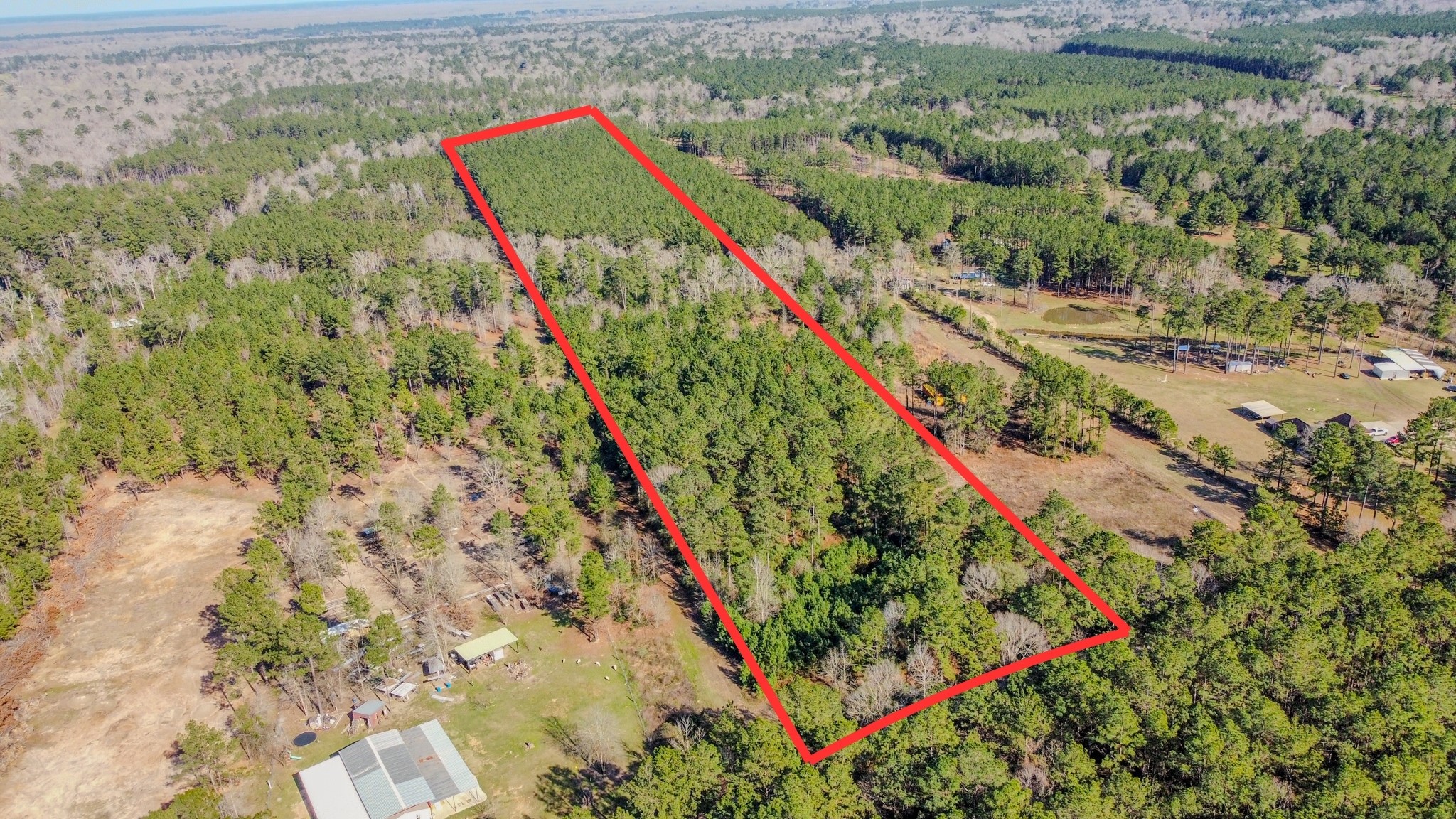 477 County Line Road Shepherd TX 77371