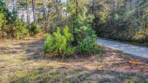 477 County Line Road Shepherd TX 77371