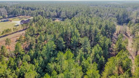 477 County Line Road Shepherd TX 77371