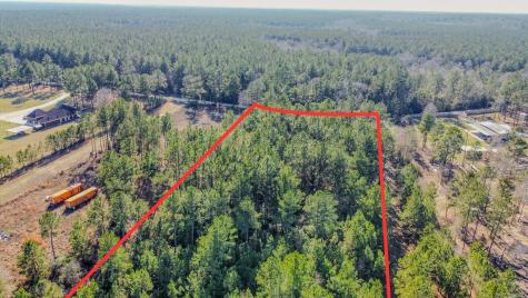 477 County Line Road Shepherd TX 77371