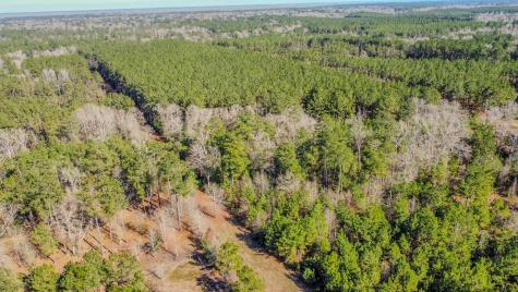 477 County Line Road Shepherd TX 77371