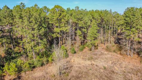 477 County Line Road Shepherd TX 77371