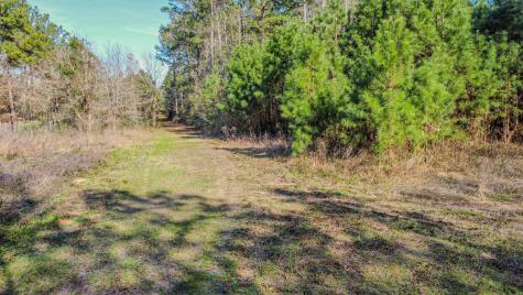 477 County Line Road Shepherd TX 77371