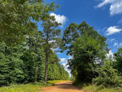 0000000 Kelley Road Livingston TX 77351