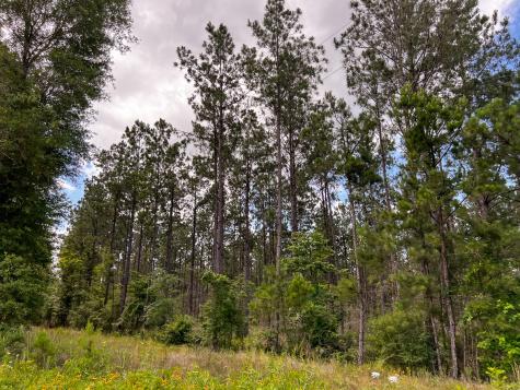 0000000 Kelley Road Livingston TX 77351