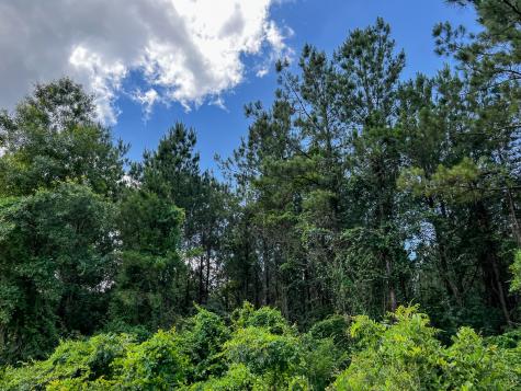 0000000 Kelley Road Livingston TX 77351