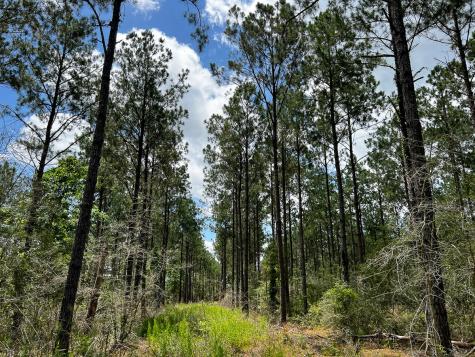 0000000 Kelley Road Livingston TX 77351