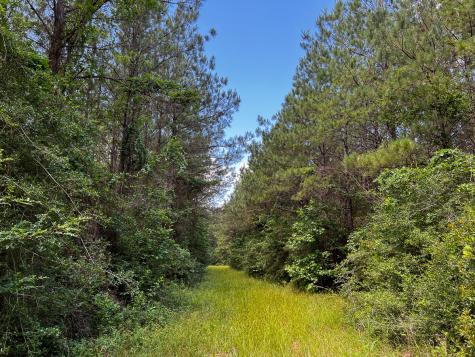 0000000 Kelley Road Livingston TX 77351