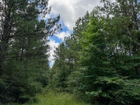 0000000 Kelley Road Livingston TX 77351