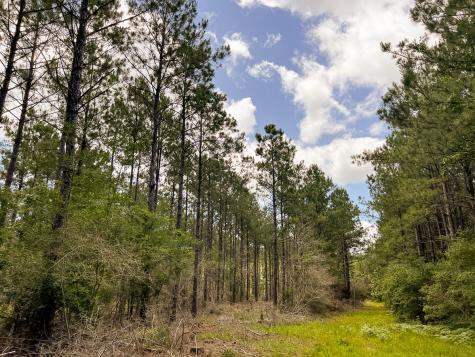 0000000 Kelley Road Livingston TX 77351