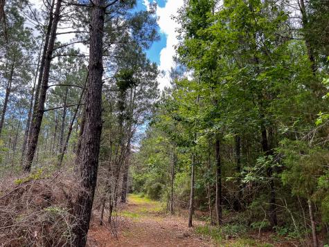 0000000 Kelley Road Livingston TX 77351