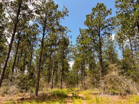 0000000 Kelley Road Livingston TX 77351