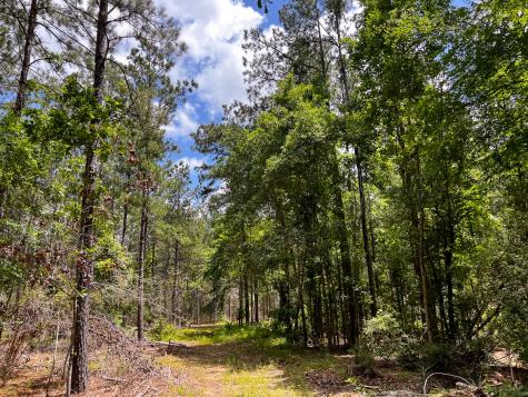 0000000 Kelley Road Livingston TX 77351