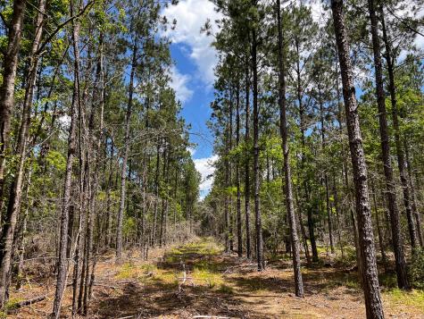 0000000 Kelley Road Livingston TX 77351