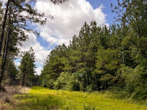 0000000 Kelley Road Livingston TX 77351