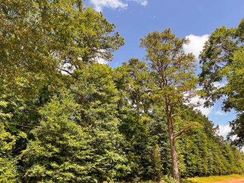 0000000 Kelley Road Livingston TX 77351