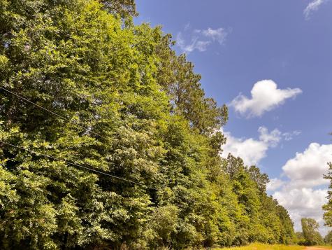 0000000 Kelley Road Livingston TX 77351