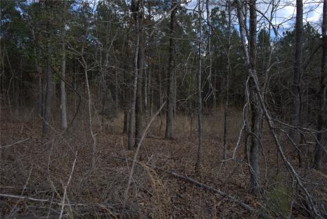 Tbd County Road 3503 Road Jefferson TX 75657