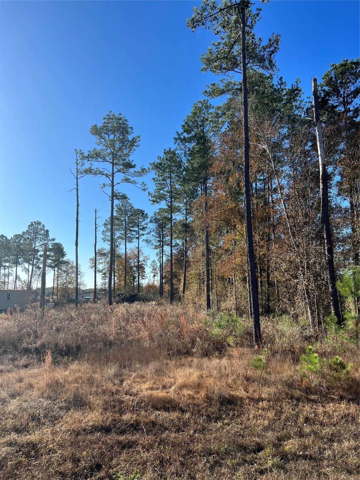 366 County Road 5021 Cleveland TX 77327