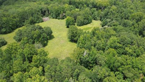 Tract 1 County Road 2065 Crockett TX 75835