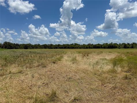 Tbd Fm 413 Kosse TX 76653