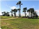 3823 Carmel Court Galveston TX 77554