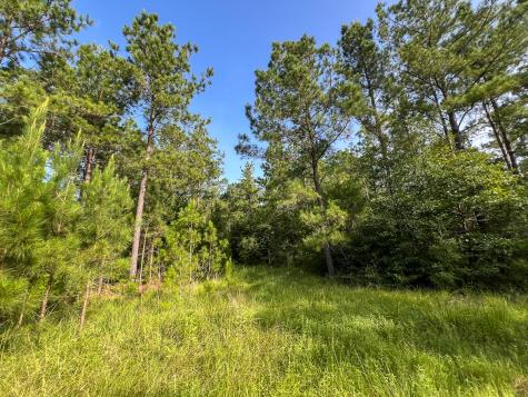 5 Fm 2989 Huntsville TX 77320