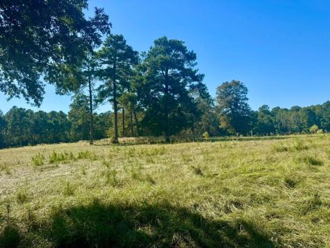 Tbd Lakeland Ranch Lot 278 Hillister TX 77624