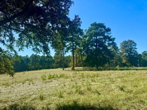 Tbd Lakeland Ranch Lot 278 Hillister TX 77624